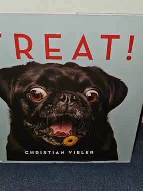NEW TREAT! BOOK BY CHRISTIAN VIELER